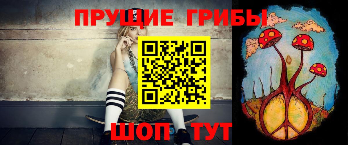 Знаменск  Галлюциногенные грибы MAGIC MUSHROOMS  Вход с VPN 
